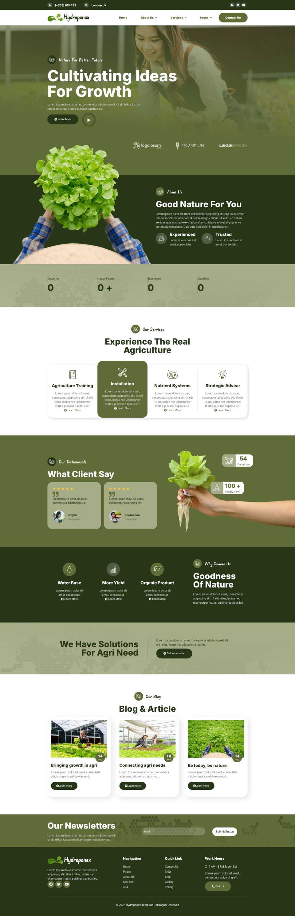 WordPress template ThemeForest Hydroponex