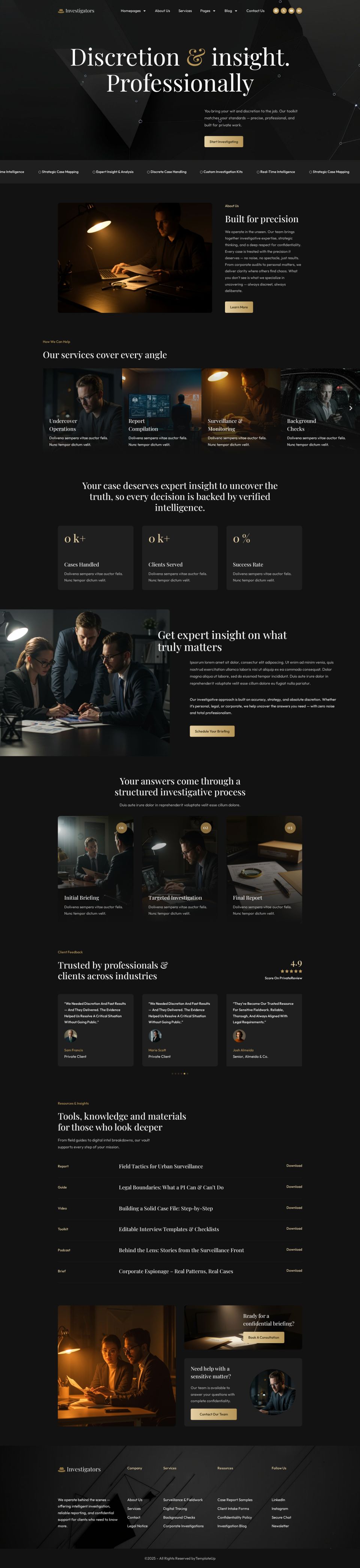 WordPress template ThemeForest Investigators