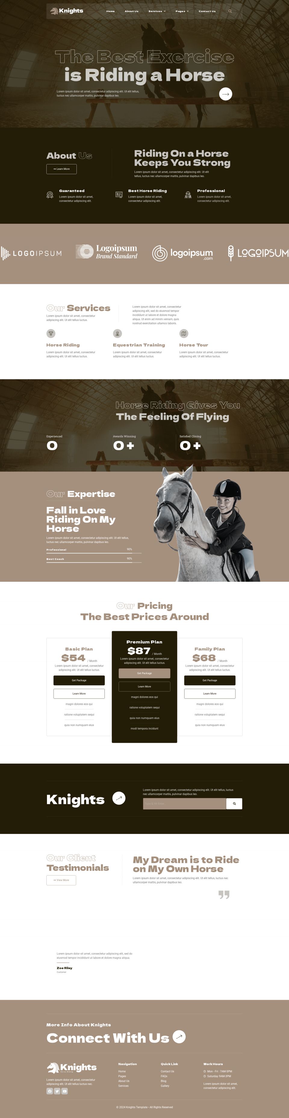 WordPress template ThemeForest Knights