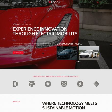 ThemeForest Levion