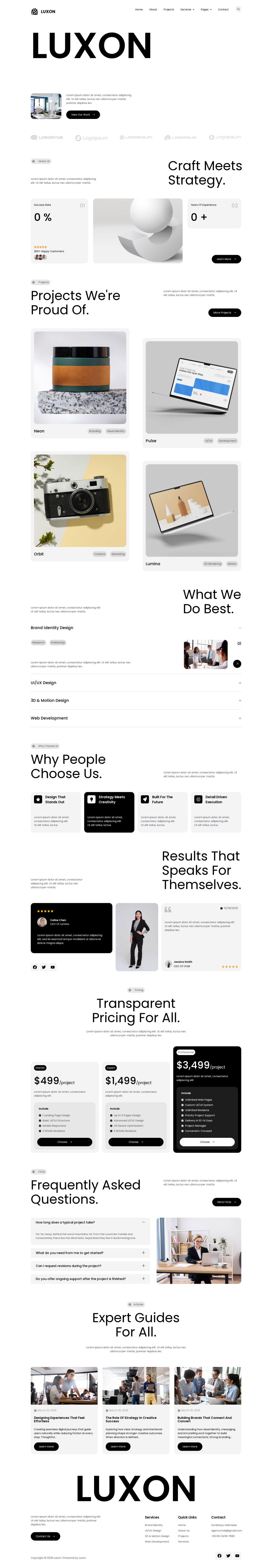 WordPress template ThemeForest Luxon