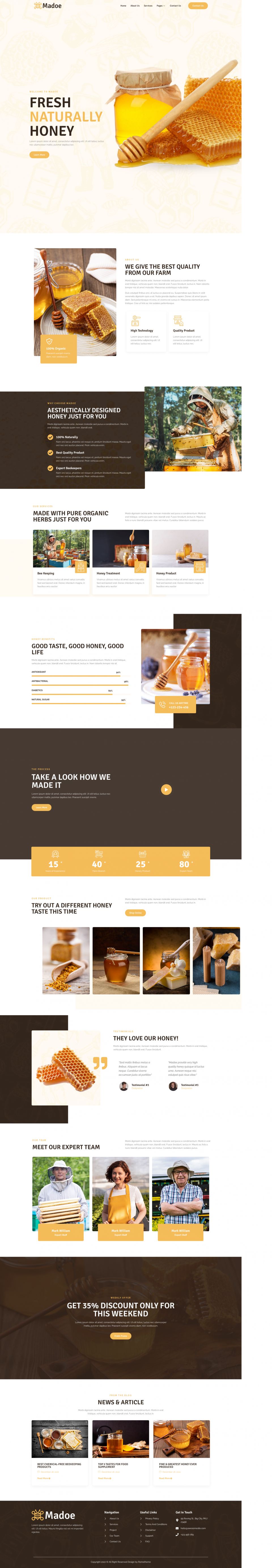 WordPress template ThemeForest Madoe
