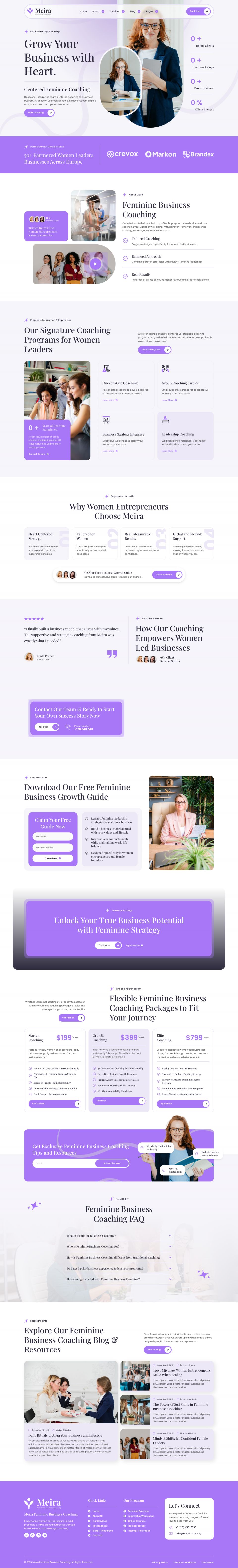 WordPress template ThemeForest Meira