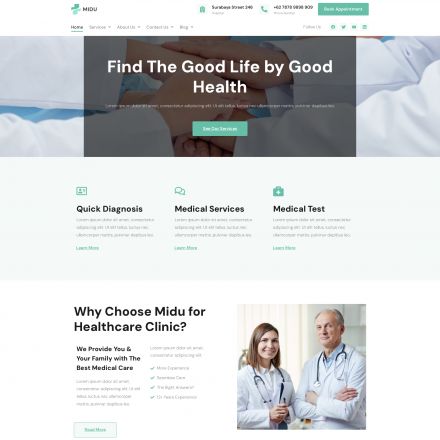 ThemeForest Midu