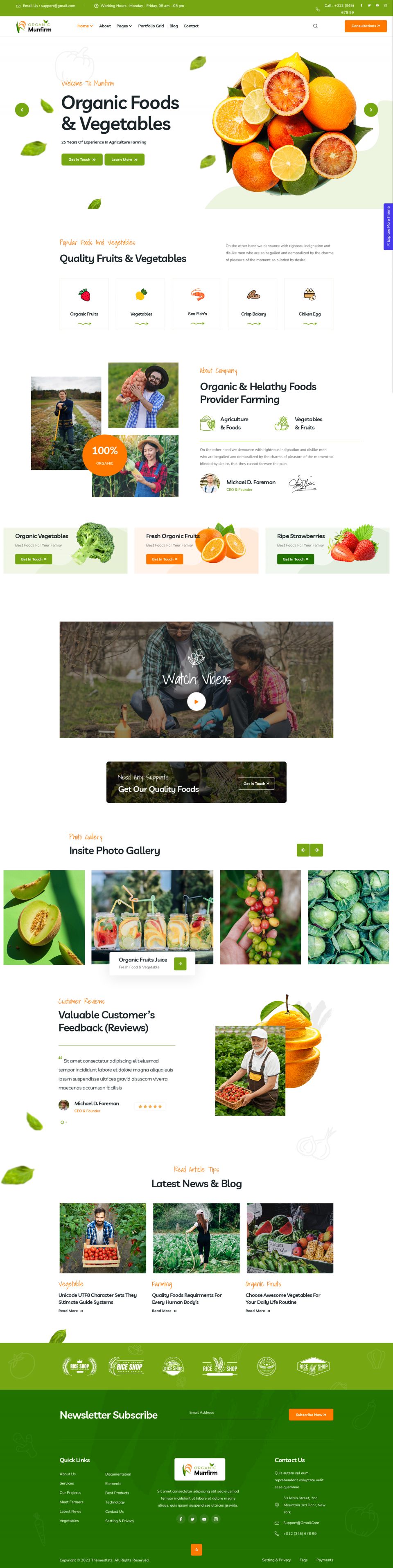 WordPress template ThemeForest Munfirm