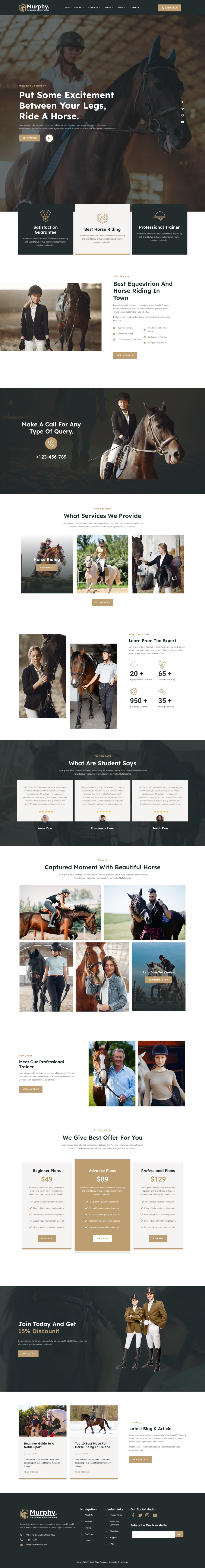 WordPress template ThemeForest Murphy