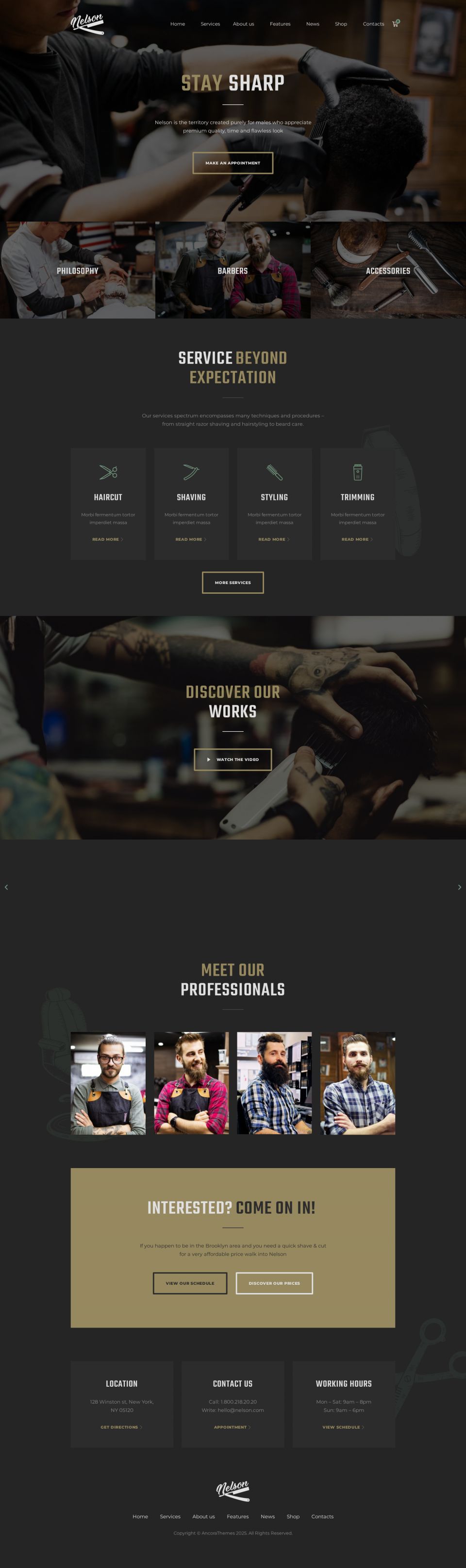 WordPress template ThemeForest Nelson
