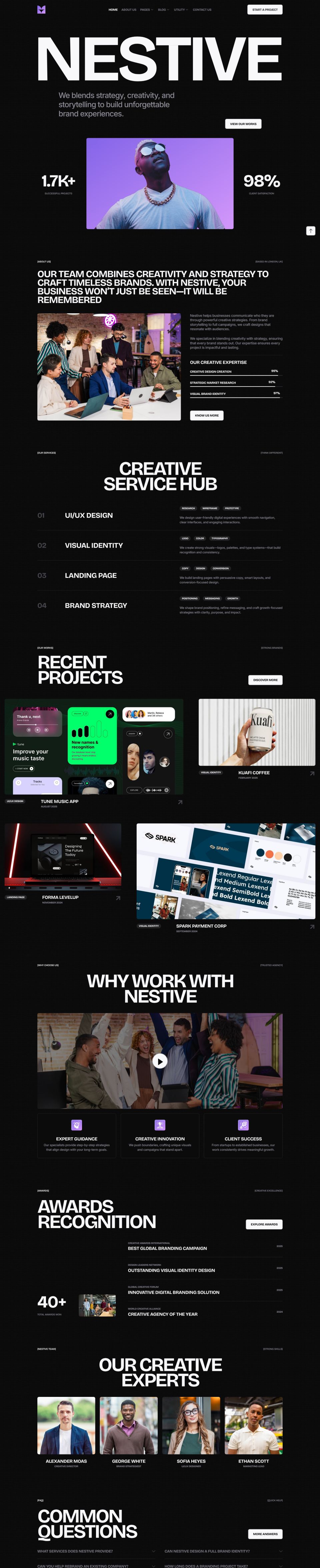 WordPress template ThemeForest Nestive