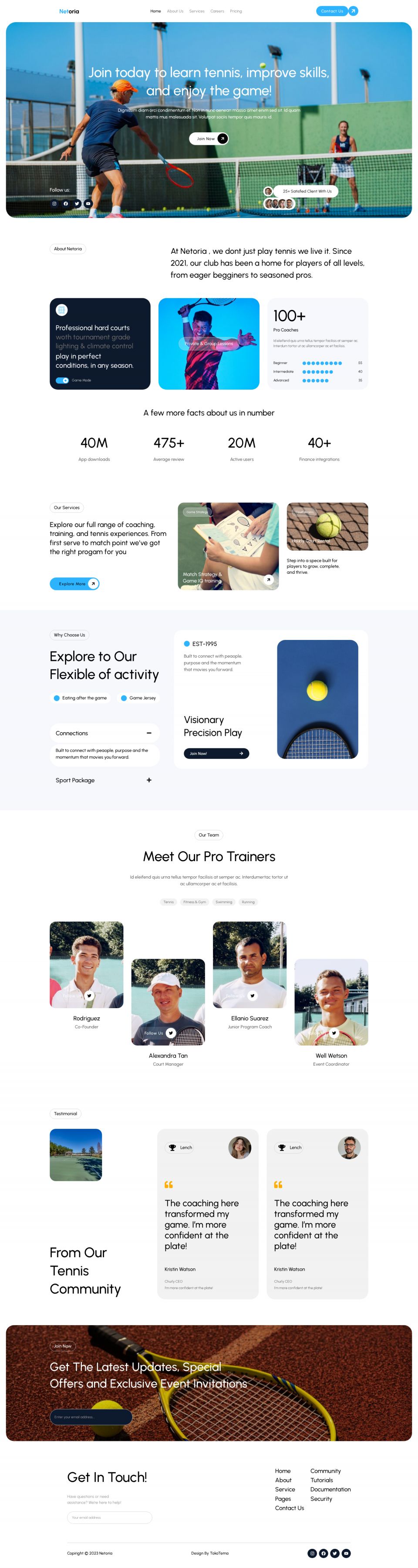 Template ThemeForest Netoria WordPress template ThemeForest Netoria