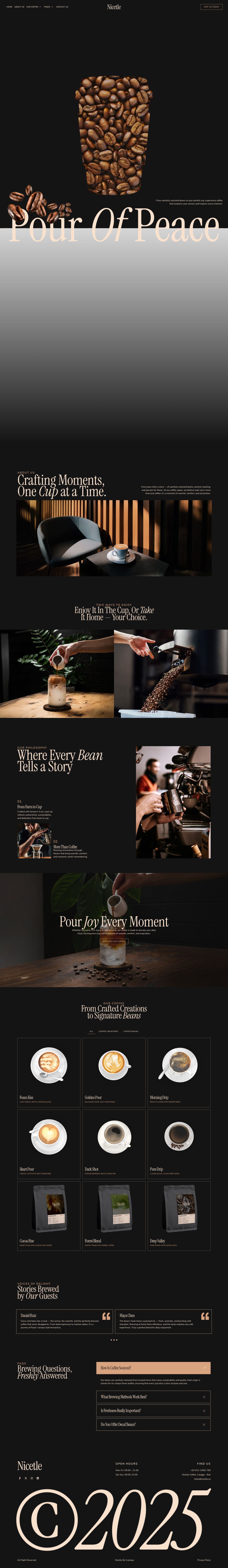 WordPress template ThemeForest Nicetle