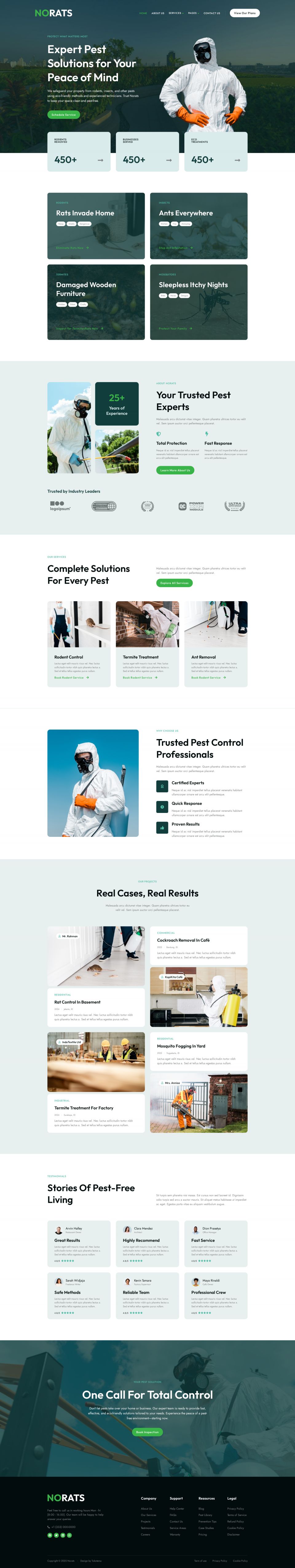WordPress template ThemeForest Norats