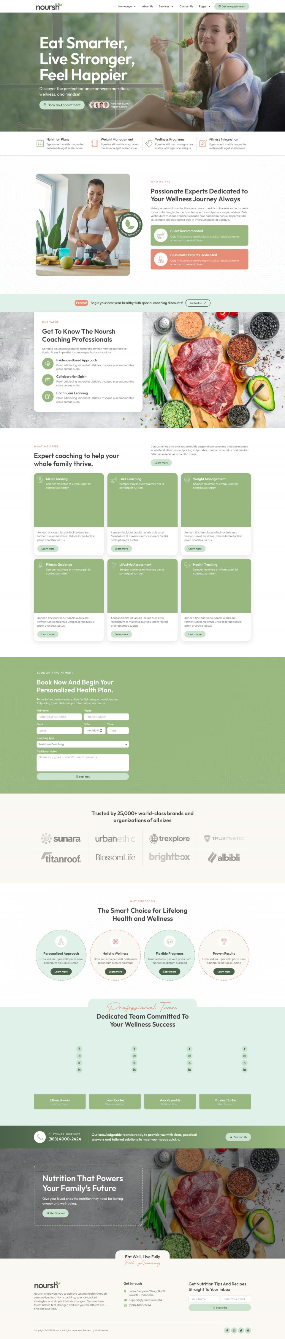 WordPress template ThemeForest Noursh