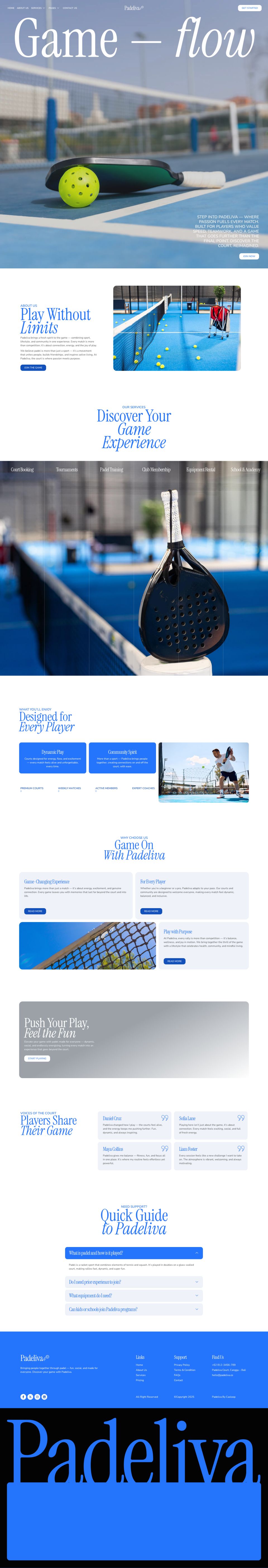 WordPress template ThemeForest Padeliva