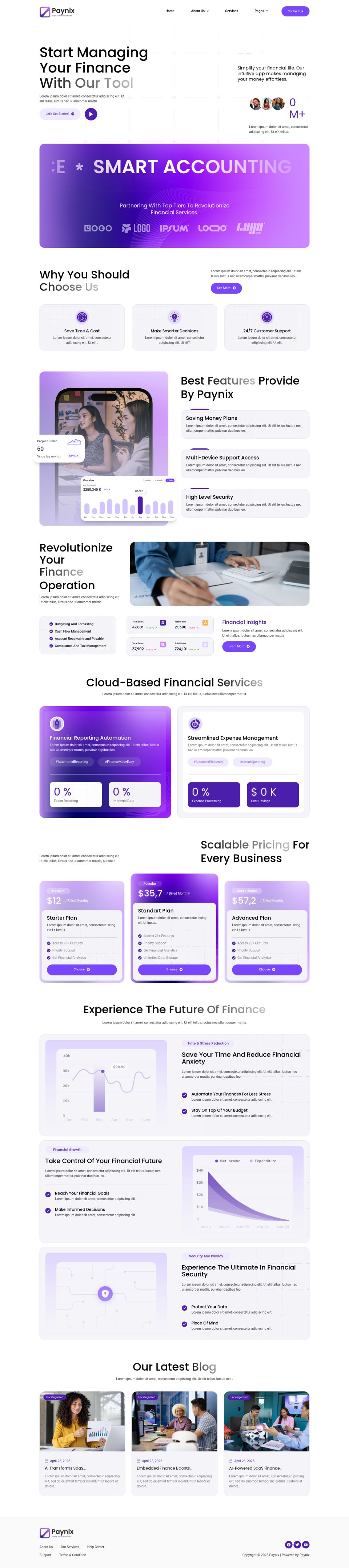 WordPress template ThemeForest Paynix