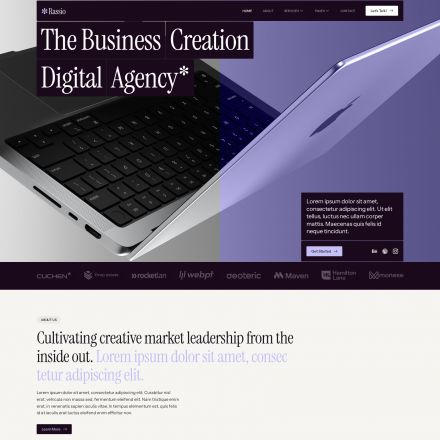ThemeForest Rassio