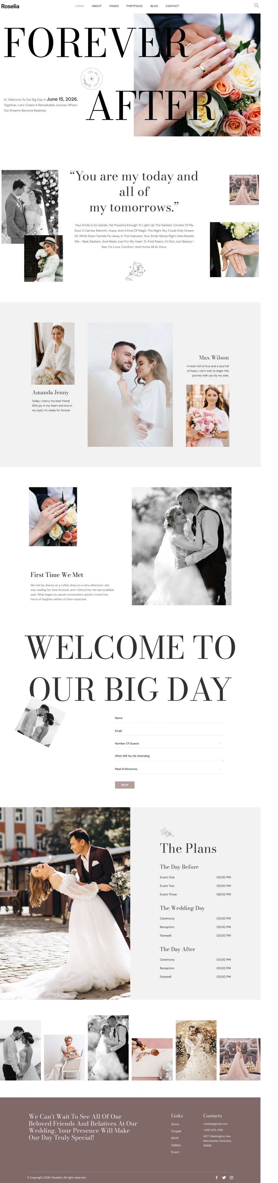 Template ThemeForest Roselia WordPress template ThemeForest Roselia