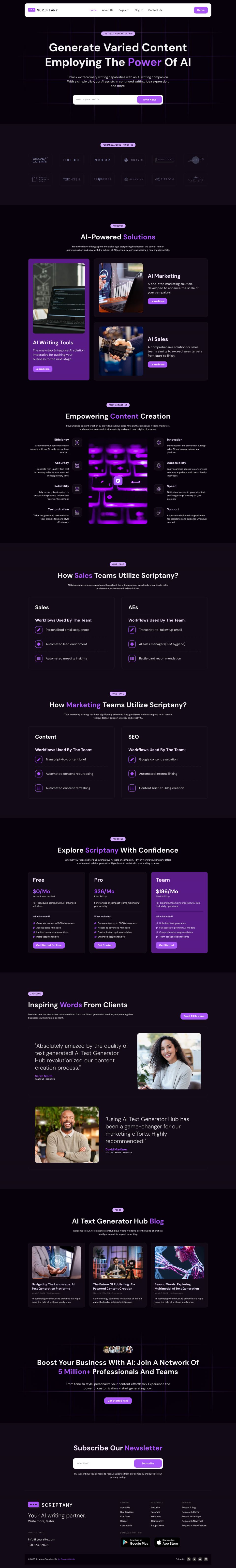 WordPress template ThemeForest Scriptany