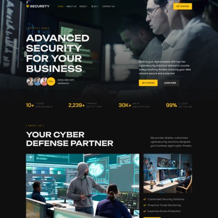 ThemeForest Securety