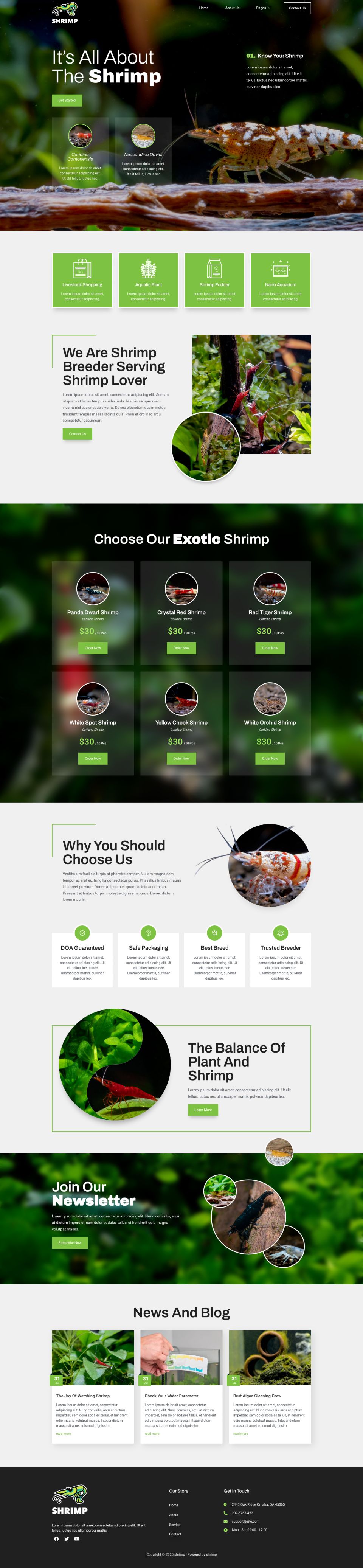 WordPress template ThemeForest Shrimp