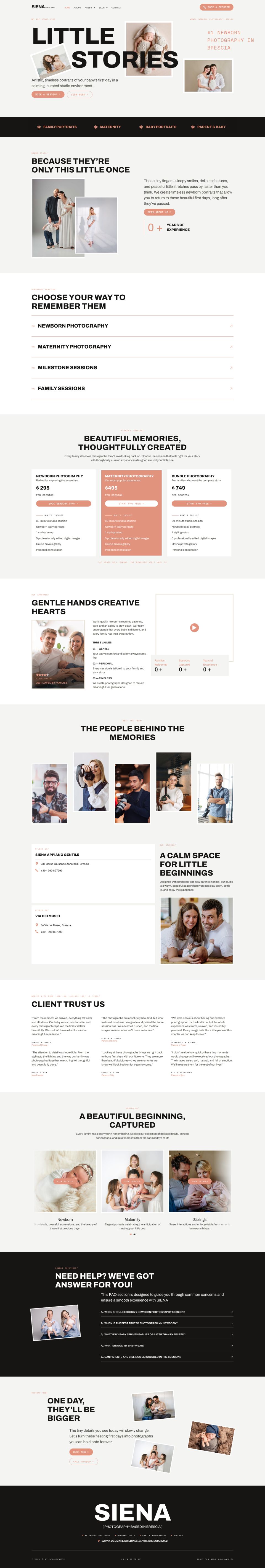 WordPress template ThemeForest Siena