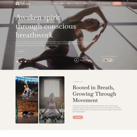 ThemeForest Silvara