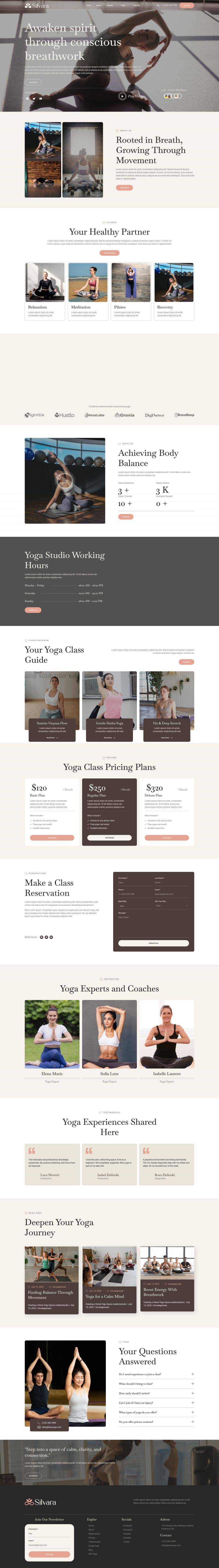 WordPress template ThemeForest Silvara