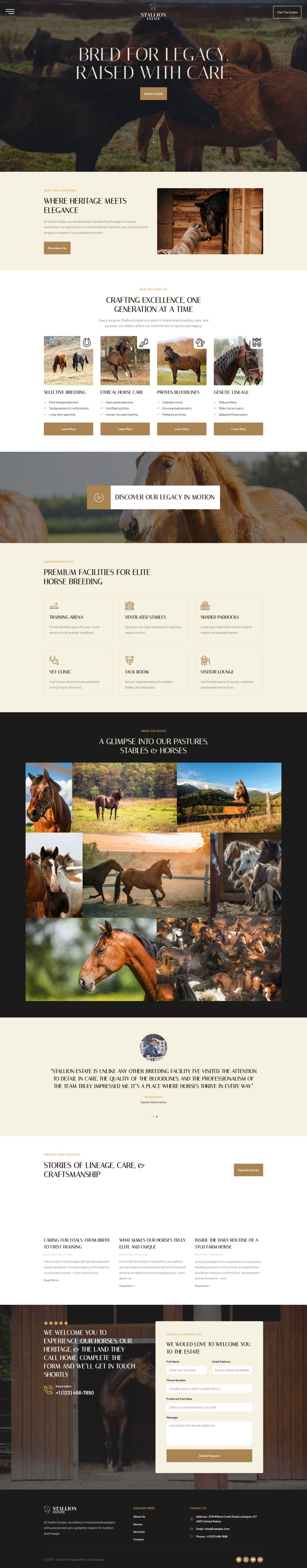WordPress template ThemeForest StallionEstate