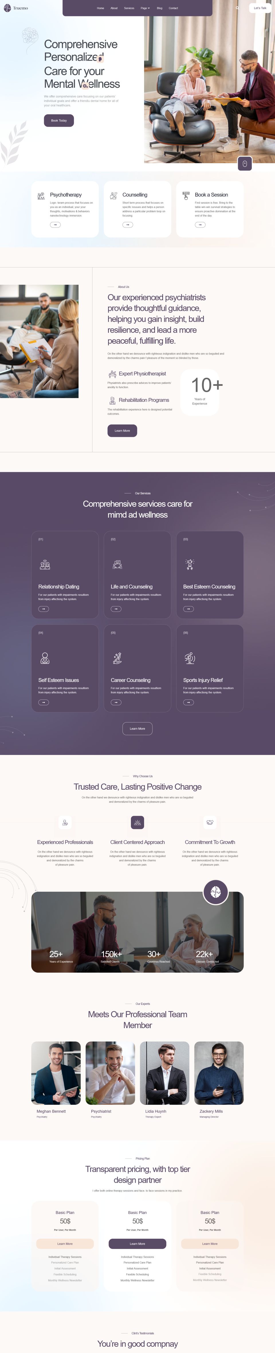 WordPress template ThemeForest Truemo