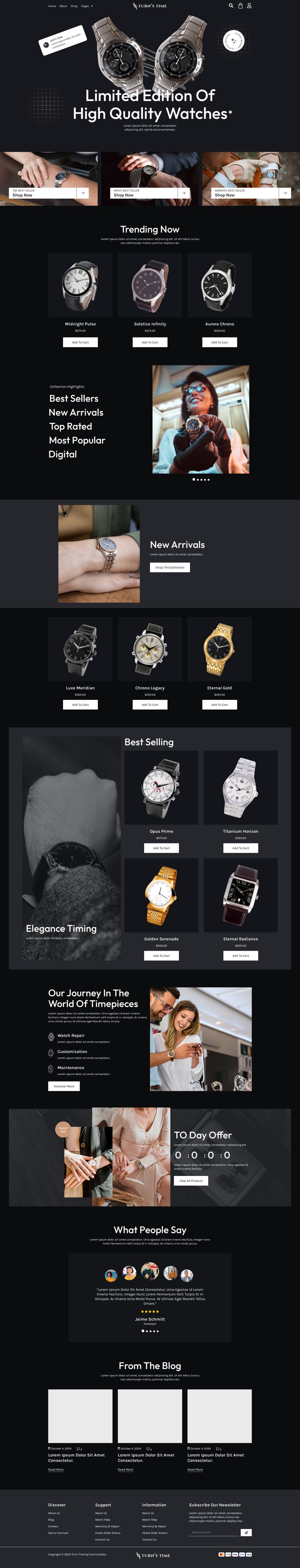 WordPress template ThemeForest Turnstime
