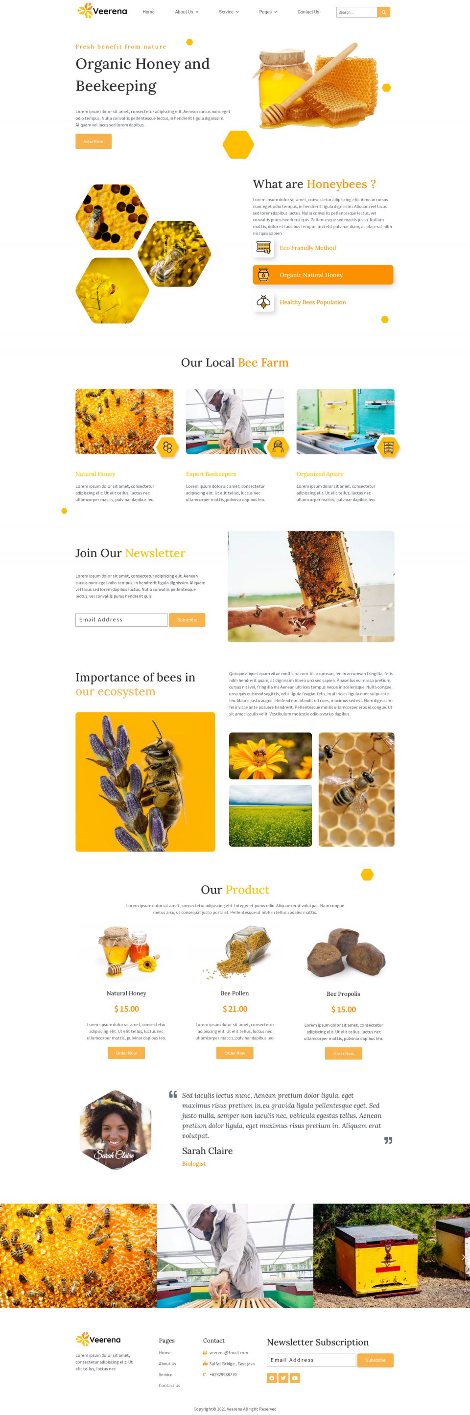WordPress template ThemeForest Veerena