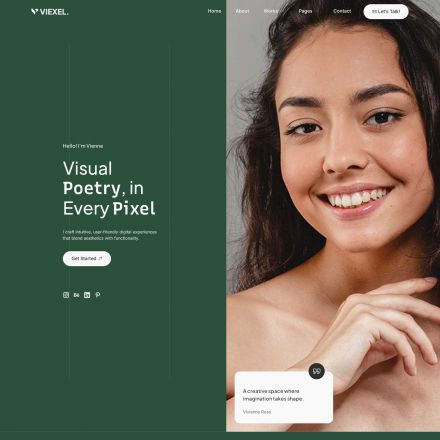 ThemeForest Viexel