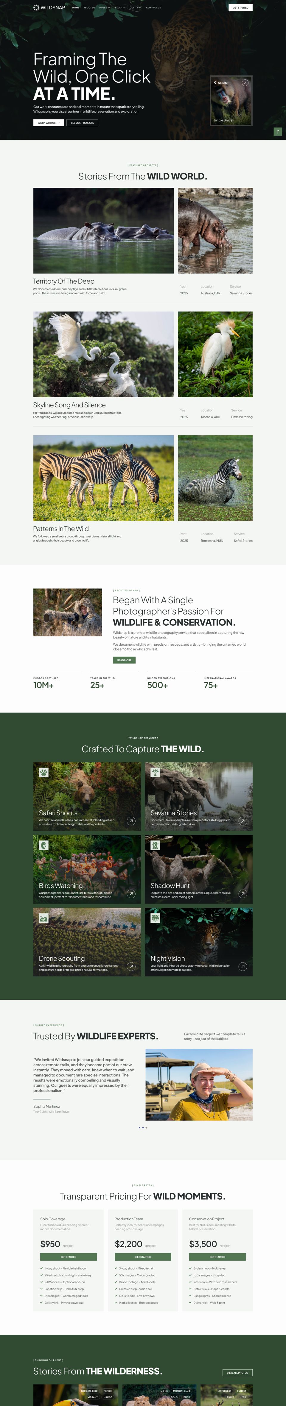 WordPress template ThemeForest Wildsnap