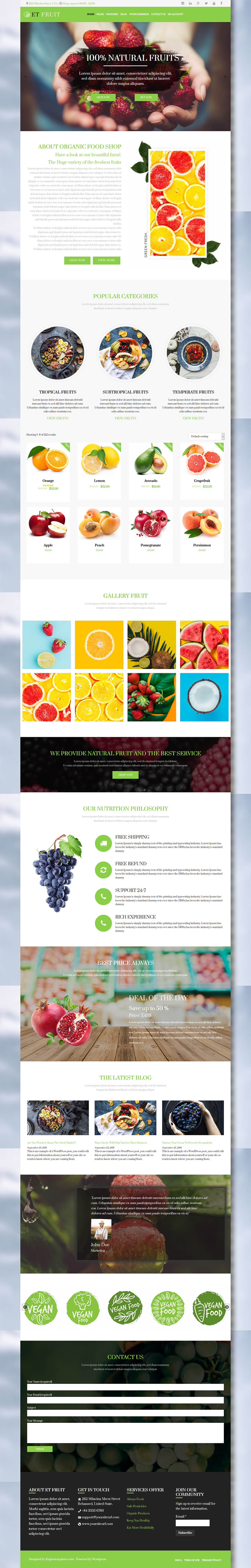 WordPress template EngineTemplates Fruit