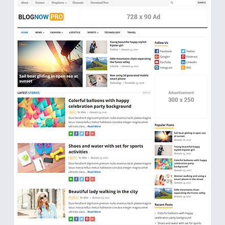 HappyThemes BlogNow