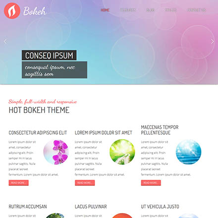 HotThemes Bokeh