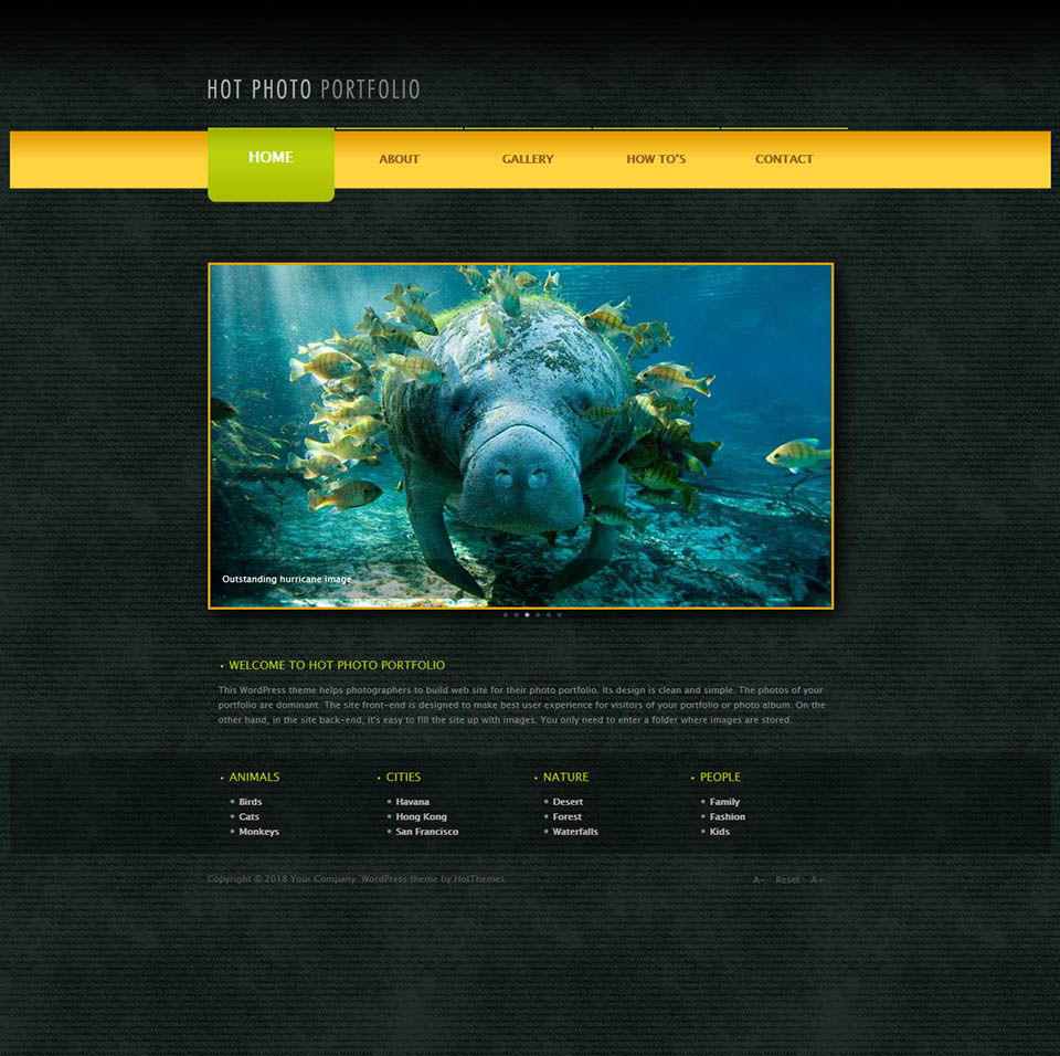 WordPress template HotThemes Photo Portfolio