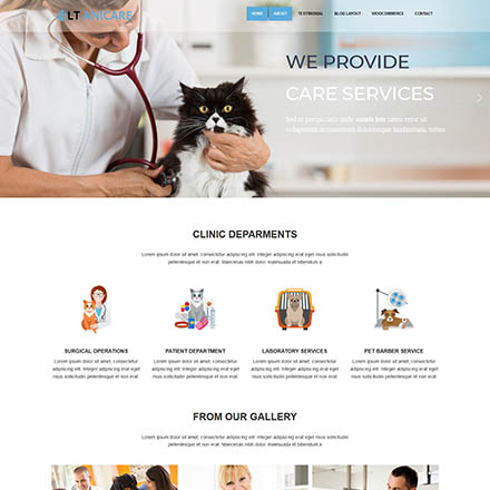 LTheme Anicare Onepage