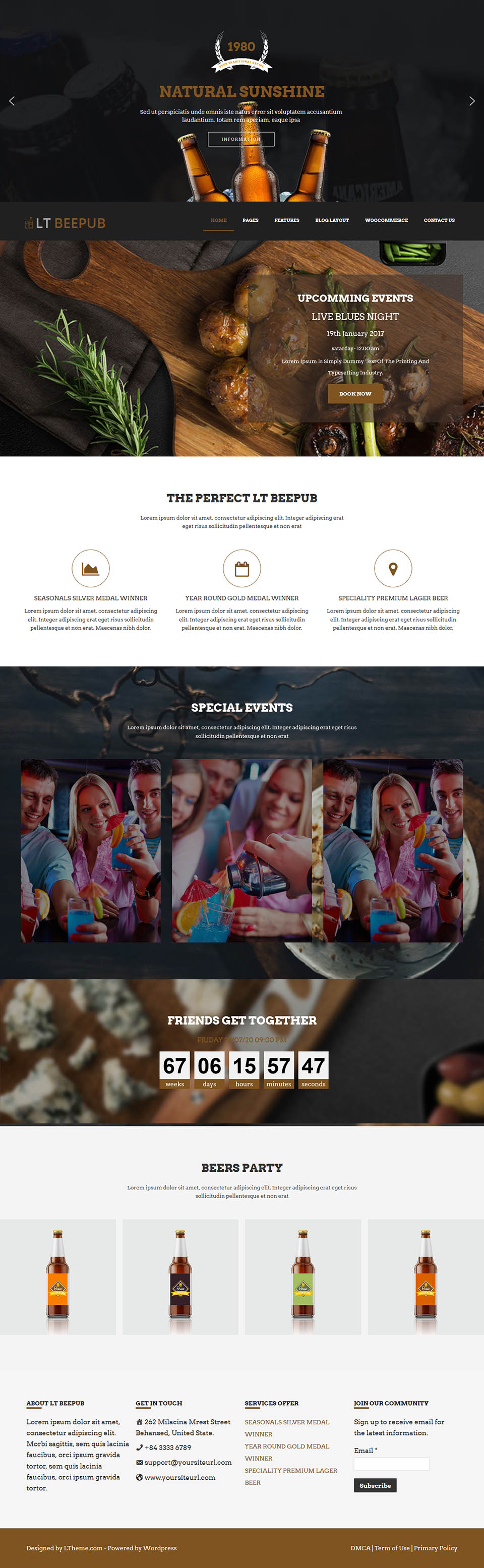 WordPress template LTheme Beepub