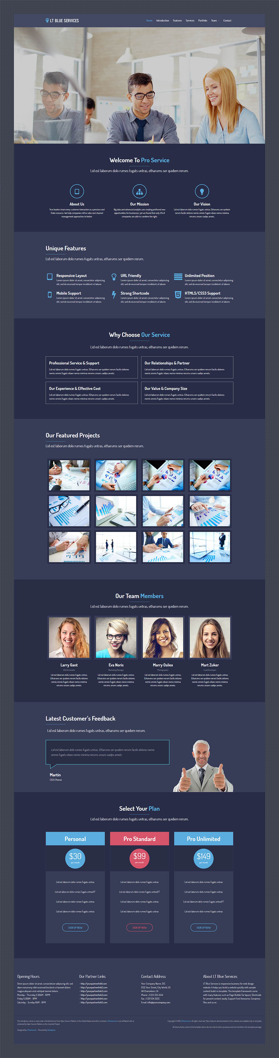 WordPress template LTheme Blue Services Onepage 