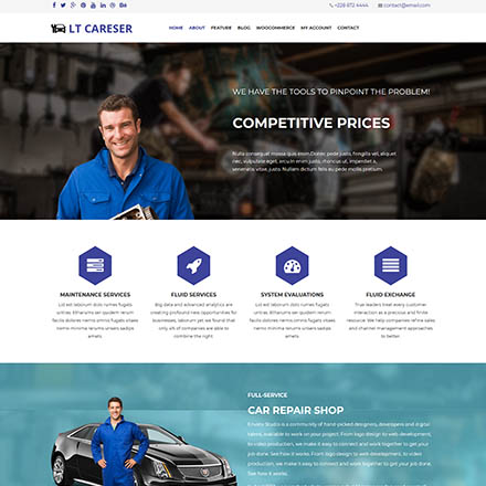 LTheme Careser Onepage