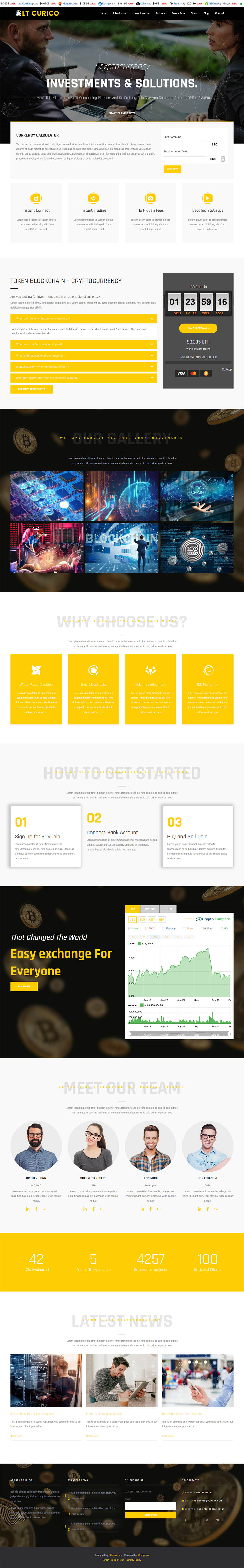 WordPress template LTheme Curico