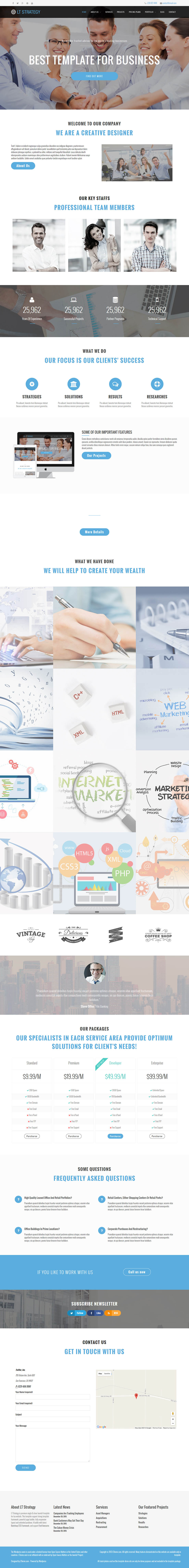 WordPress template LTheme Strategy