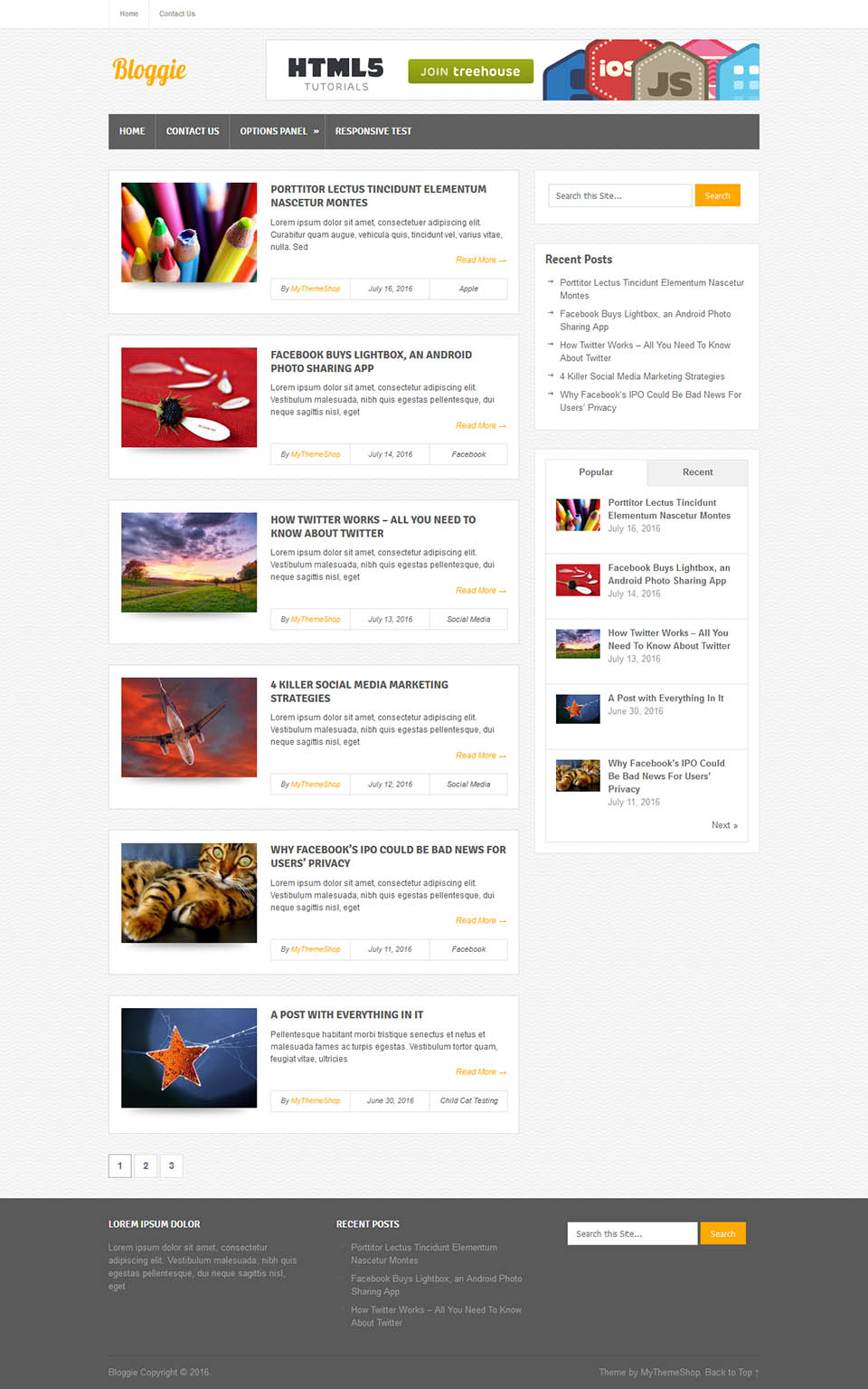 WordPress template MyThemeShop Bloggie