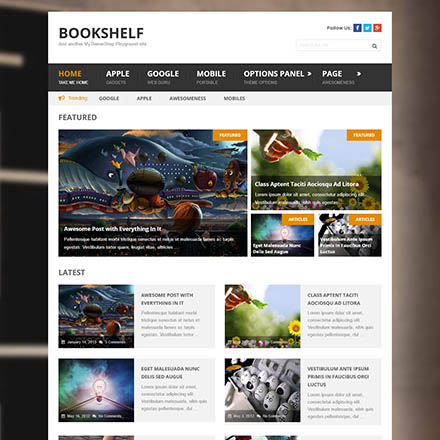 MyThemeShop BookShelf