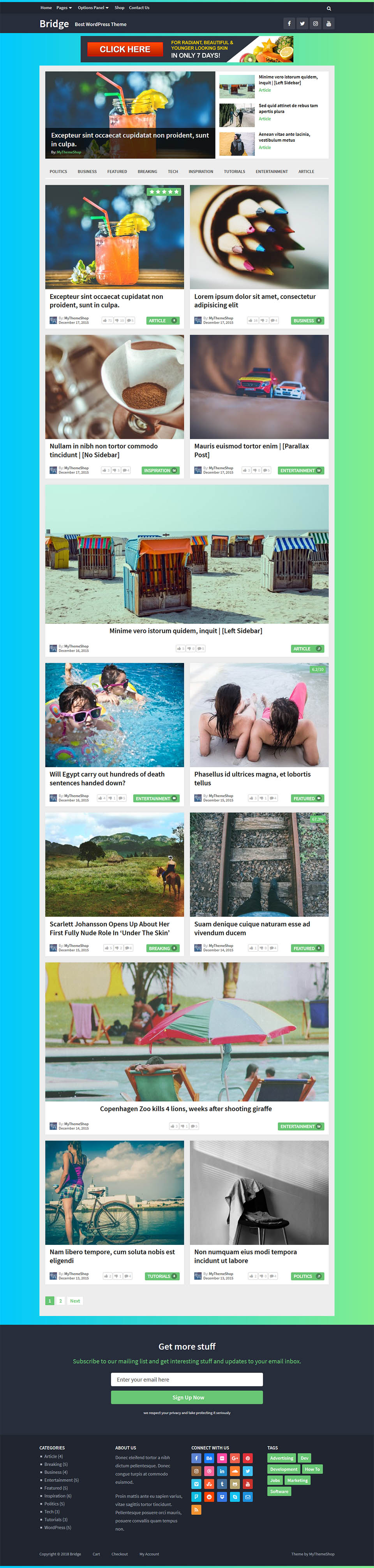 WordPress template MyThemeShop Bridge
