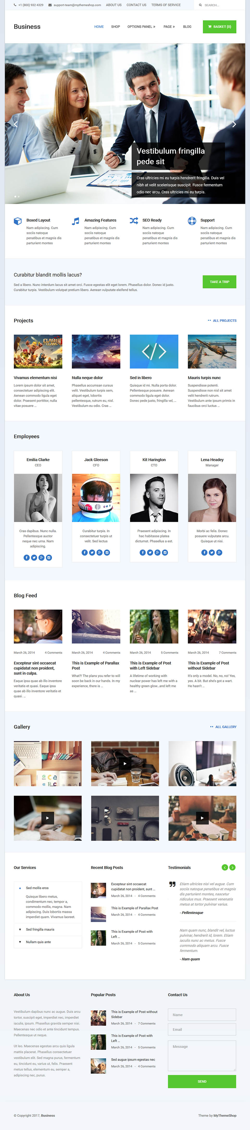 WordPress template MyThemeShop Business