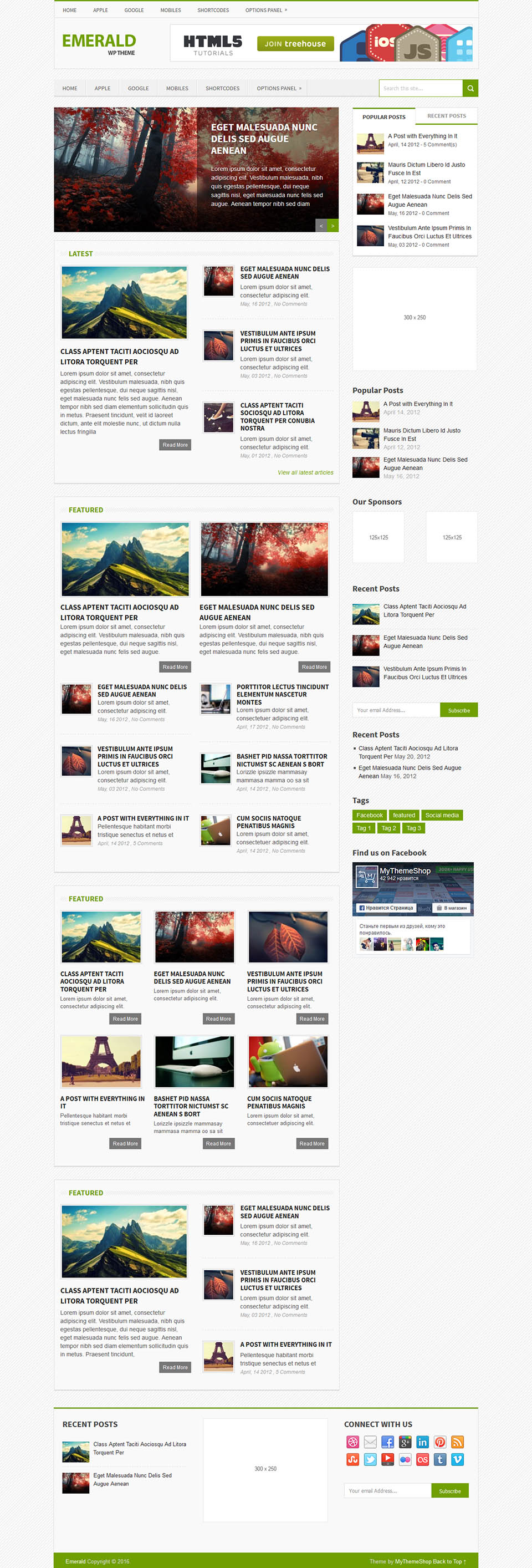WordPress template MyThemeShop Emerald