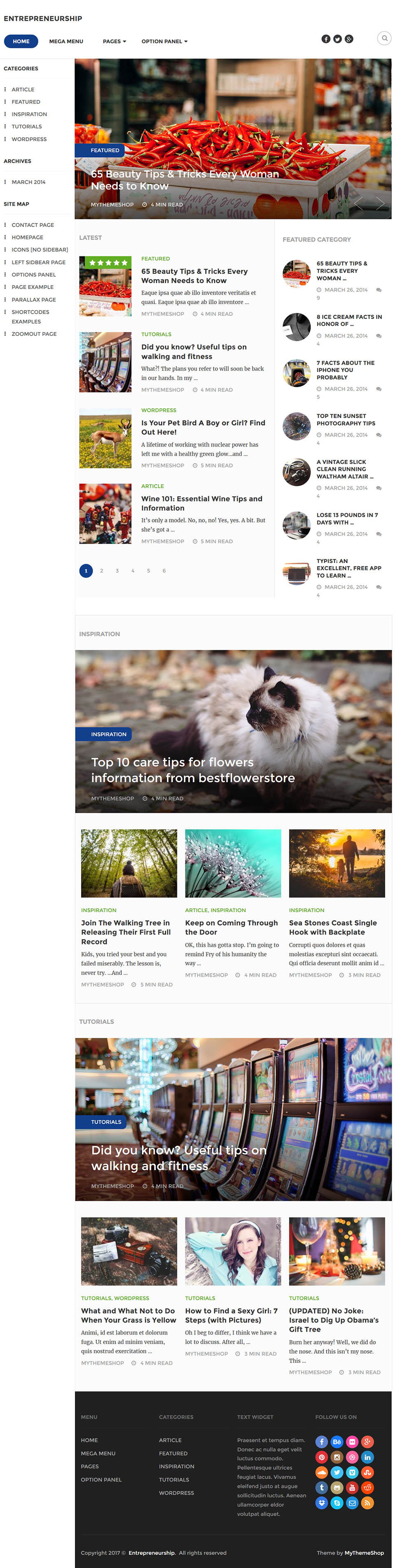 WordPress template MyThemeShop Entrepreneurship