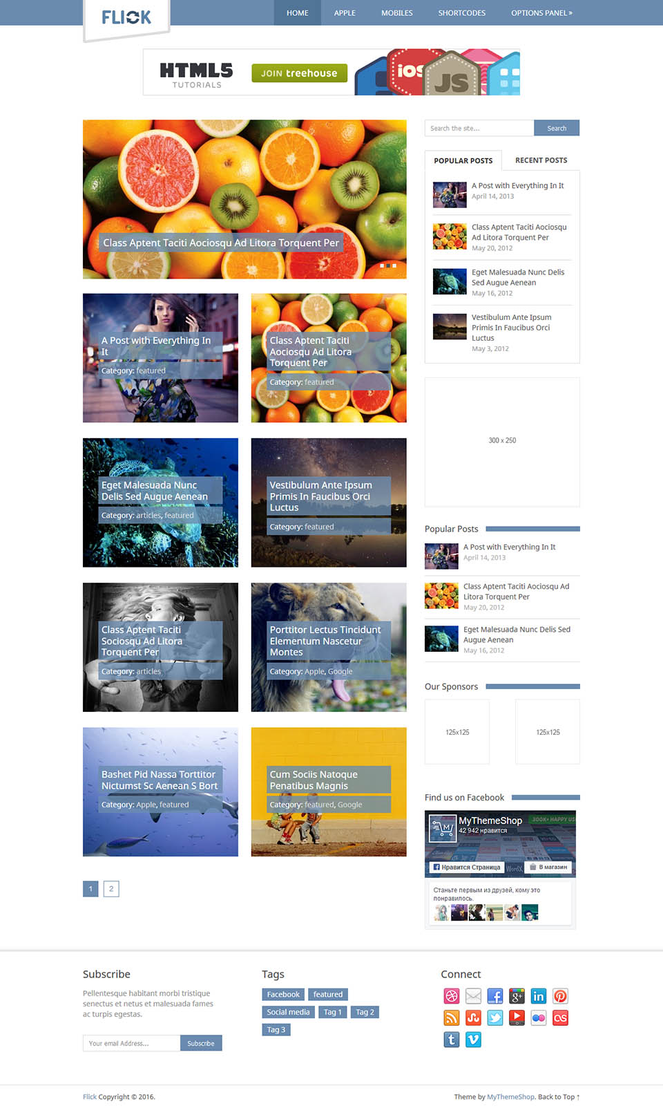 WordPress template MyThemeShop Flick