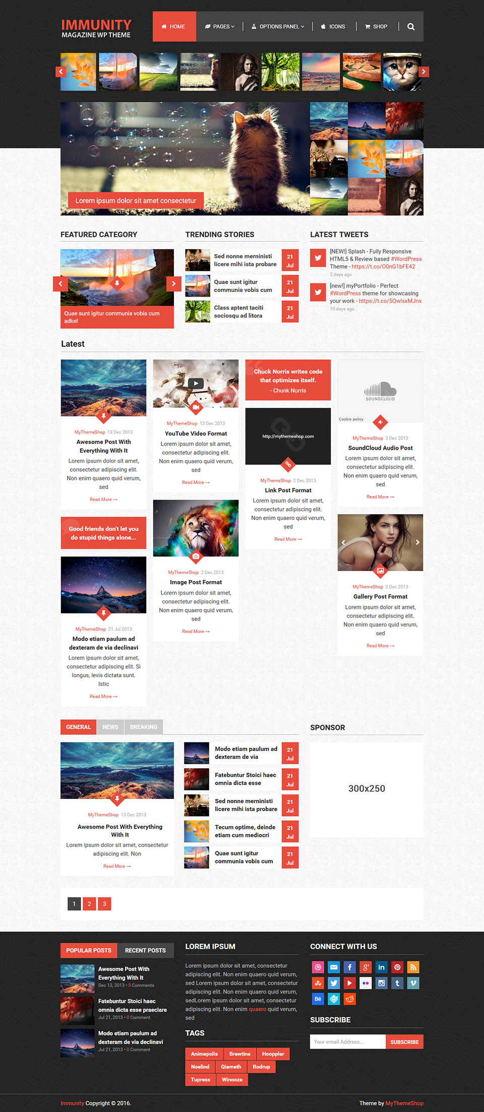 WordPress template MyThemeShop Immunity